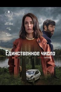 Единственное число
